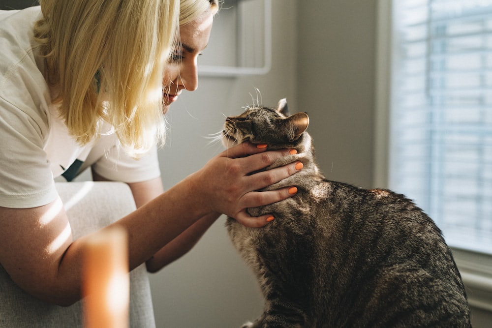 Consultation vétérinaire, examen clinique d'un animal